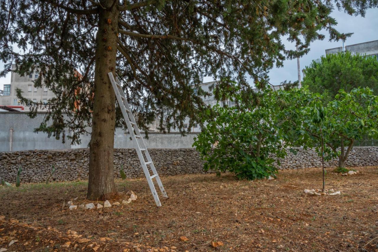 Trulli Dimora Palmisano Apartment Локоротондо Екстериор снимка